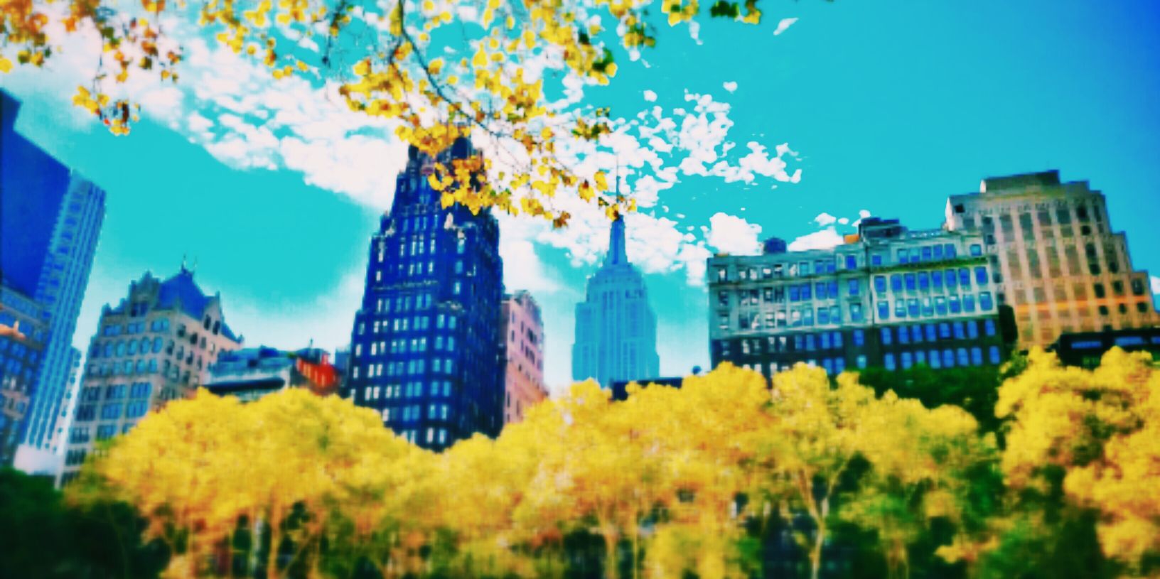 Yosr lk banner