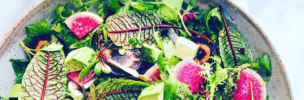 DPeckham Profile Banner