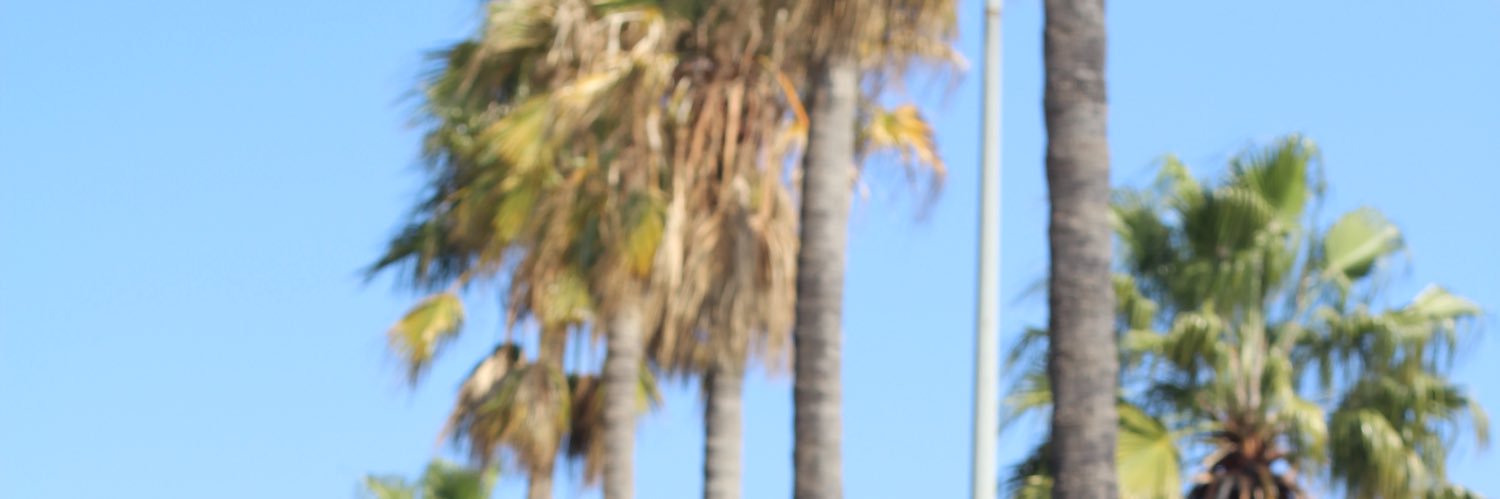 sergio_galan98's profile banner image
