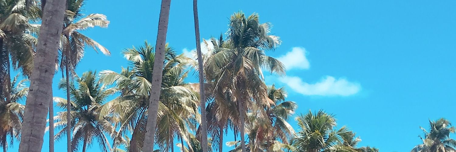 munizfran's profile banner image
