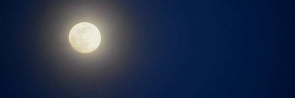 csimonwrite Profile Banner