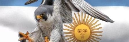 isido11's profile banner image