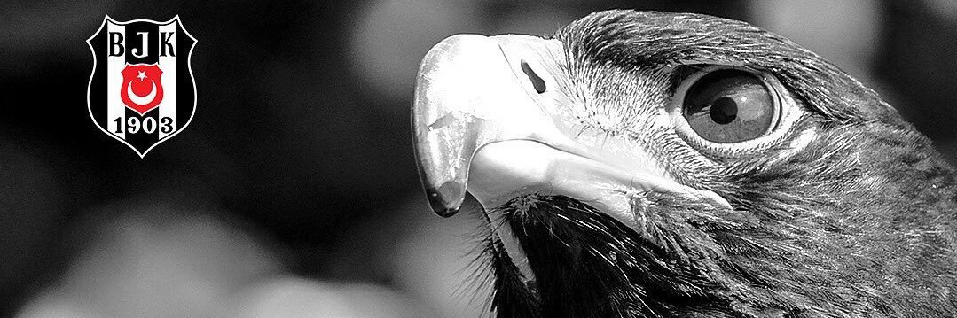 1305Shwarz's profile banner image