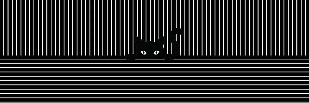 awkwkwkdrr's profile banner image
