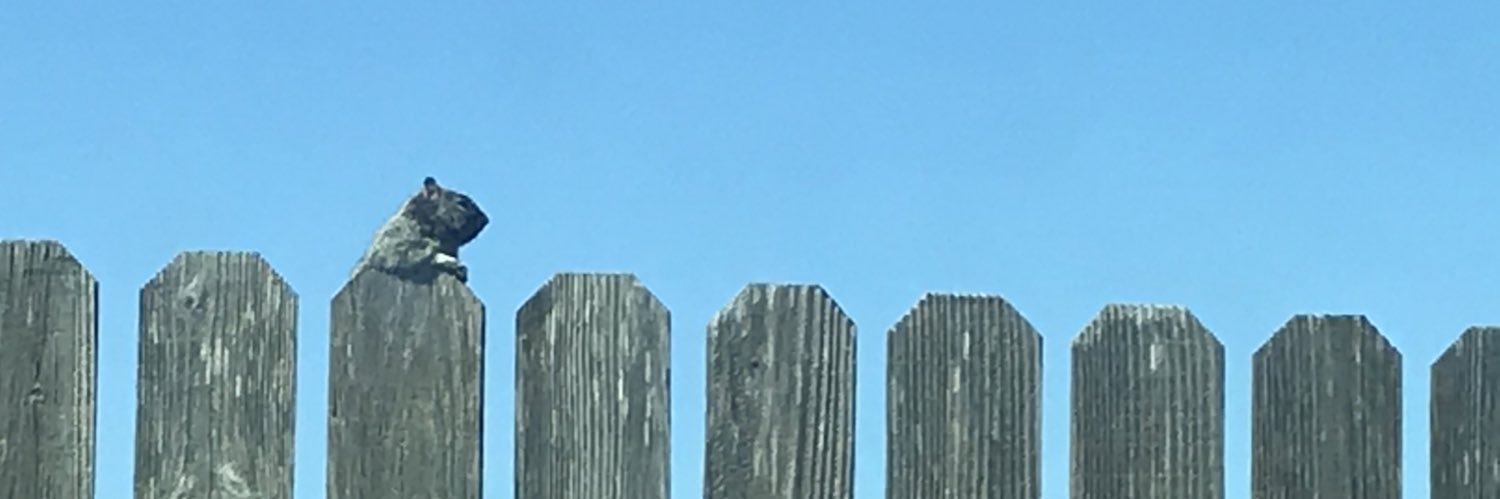 J_Cubibble's profile banner image