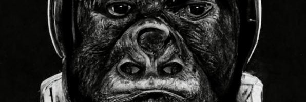 ELFELK1's profile banner image