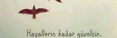 guler_lavin's profile banner image