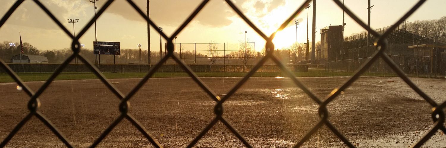 Sarah Millward banner