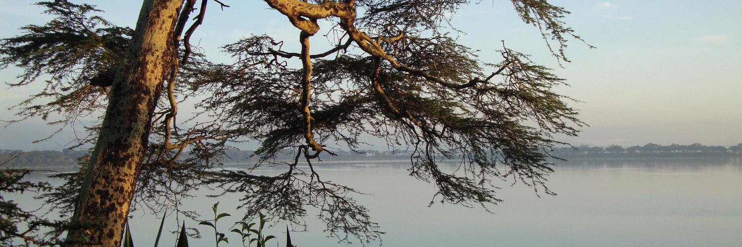 Marie Wolfrom banner