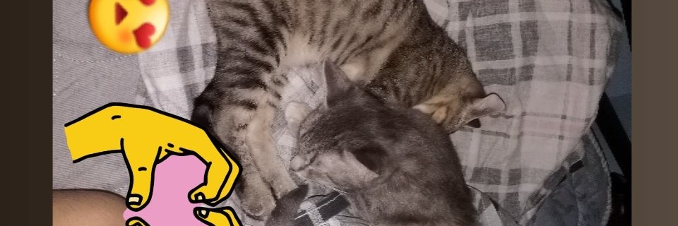 luquiitas_'s profile banner image
