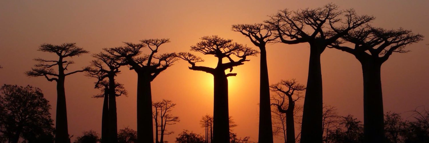 INBAOBABASESOR's profile banner image