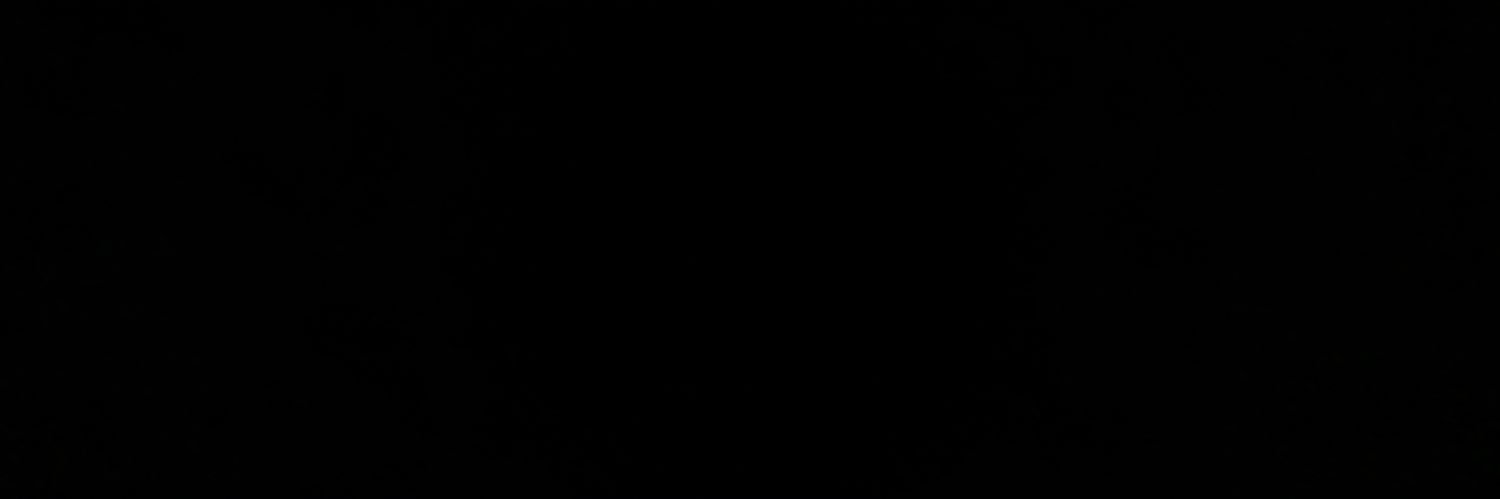 shvmivm's profile banner image
