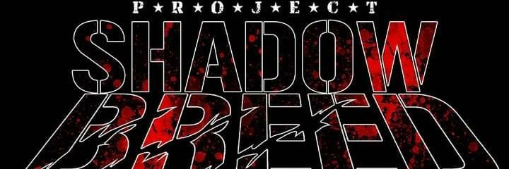 ProjectShadowBr's profile banner image