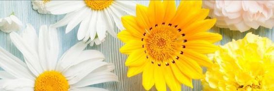 itisrum's profile banner image