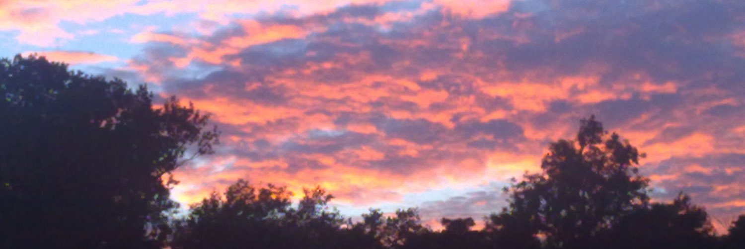 Floydntull's profile banner image