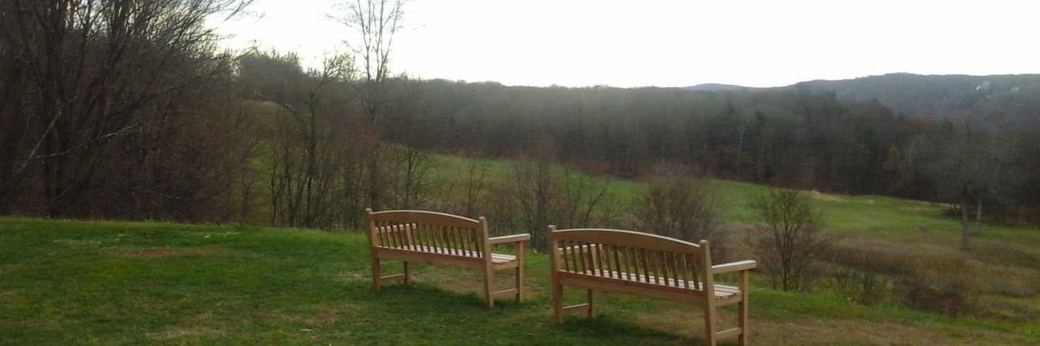 largedadjuggalo's profile banner image