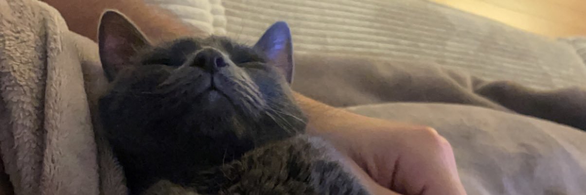 zoewatrin's profile banner image