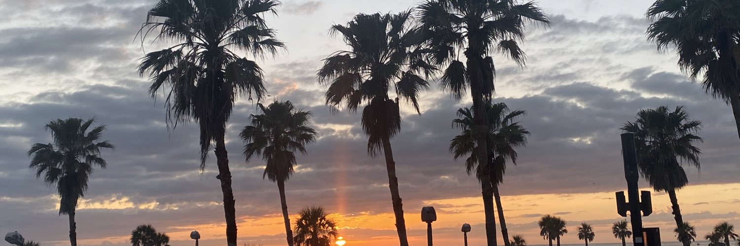sofiaraffaele_'s profile banner image