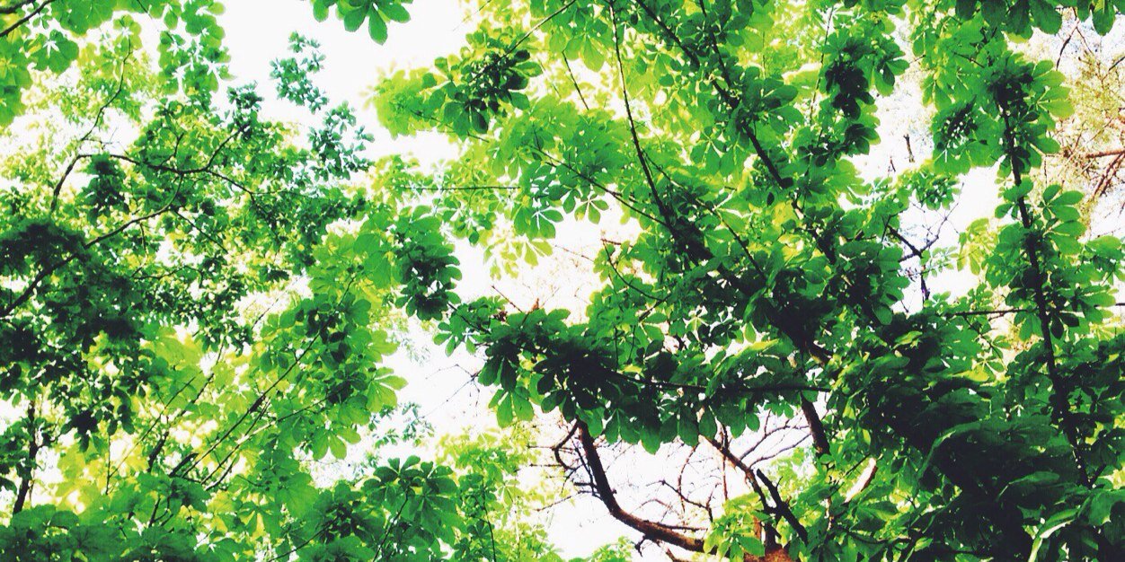 ♱Ꮍ༥ᏦᎥ♱ banner