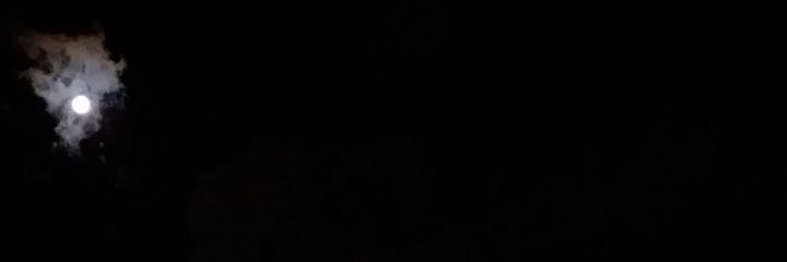 erdiguler01's profile banner image