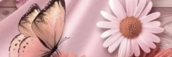 AlmaResendizB2's profile banner image