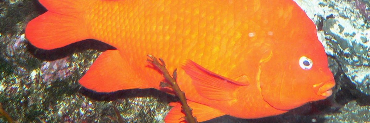 NAUTICAY_'s profile banner image