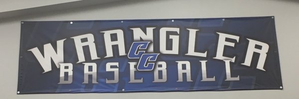 fungo29 Profile Banner