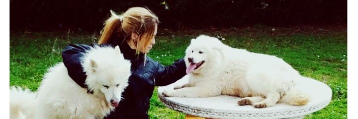 Lidialedi's profile banner image