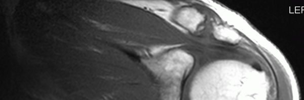 echaconas Profile Banner