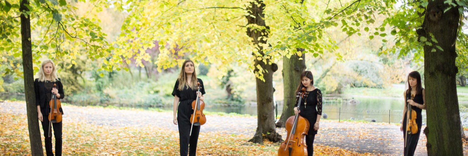 ChryslerStrings's profile banner image