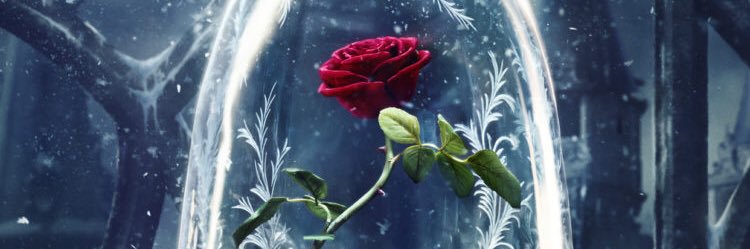 kylaahh's profile banner image
