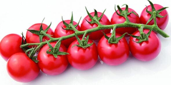 LEMA tomaten banner