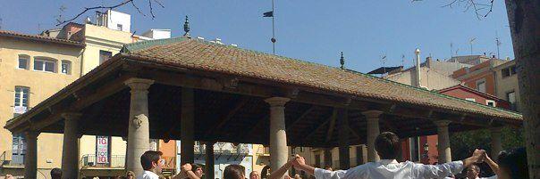 Montserrat Cañameras banner
