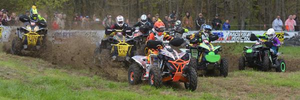 SpiderGraphix Profile Banner