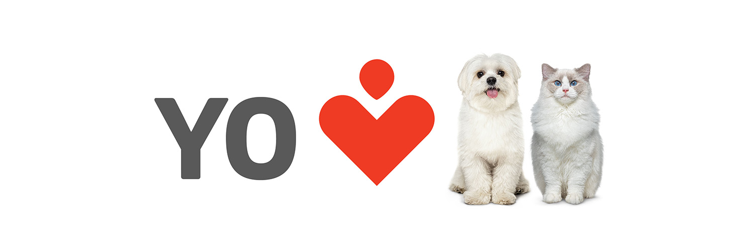 LABYES_ARG's profile banner image