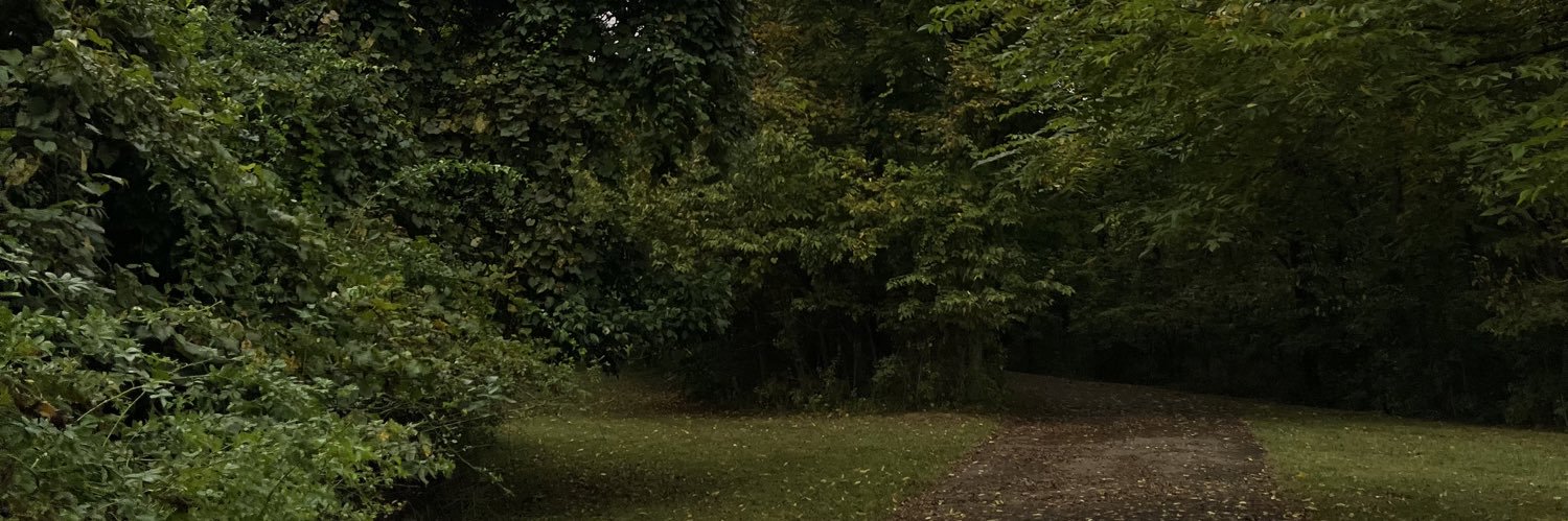 _sxgc's profile banner image