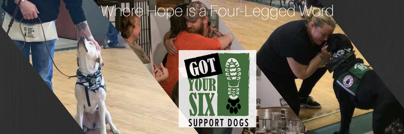 Got Your Six Dogs banner