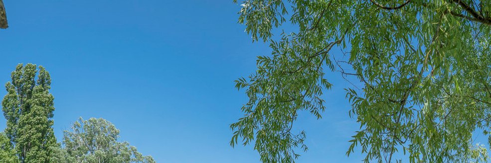mjose_luque's profile banner image