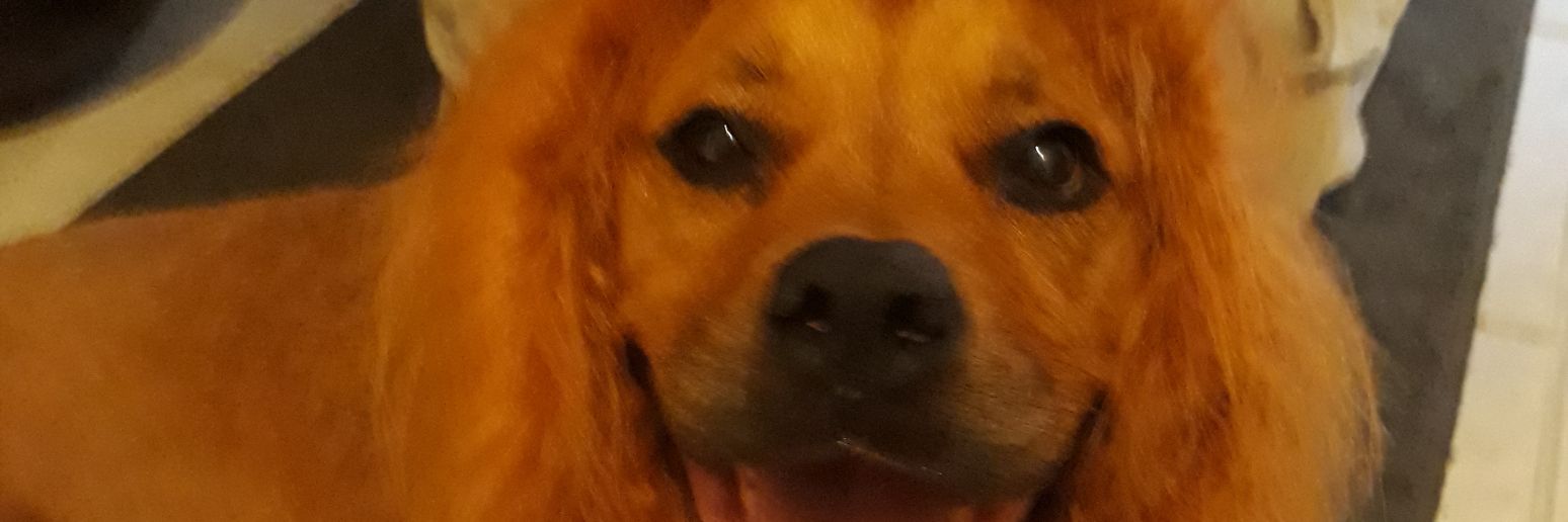jethro2195's profile banner image
