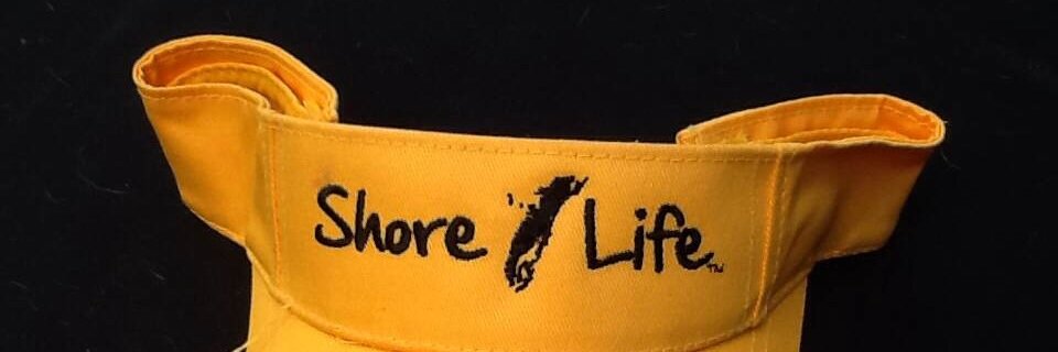 LovingShoreLife's profile banner image