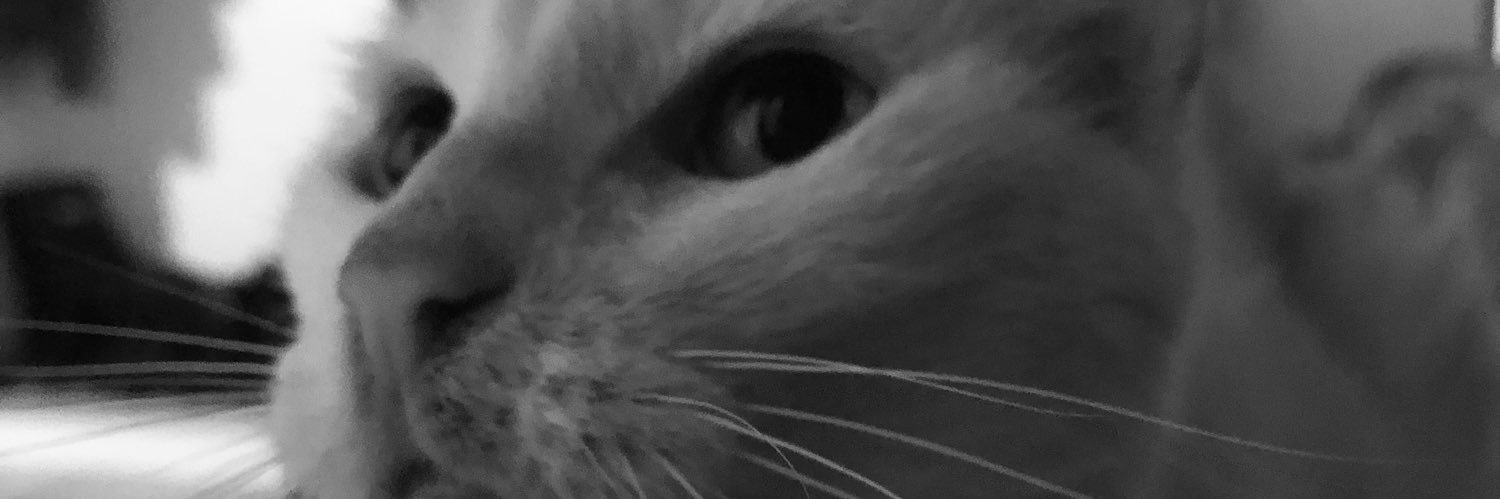 ivicci___'s profile banner image