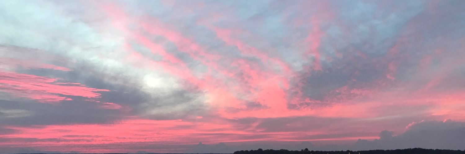 LJsThinks's profile banner image