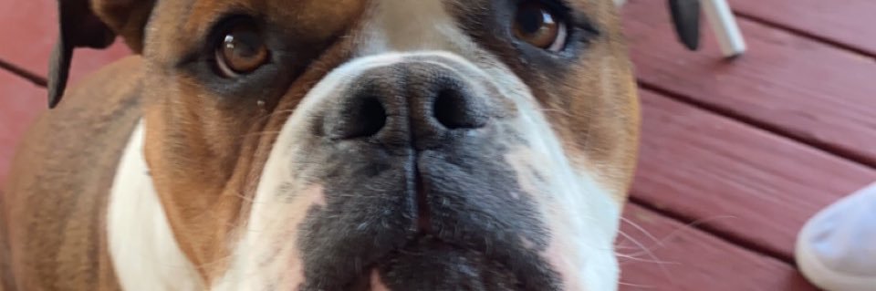 Courtneyjeppson's profile banner image
