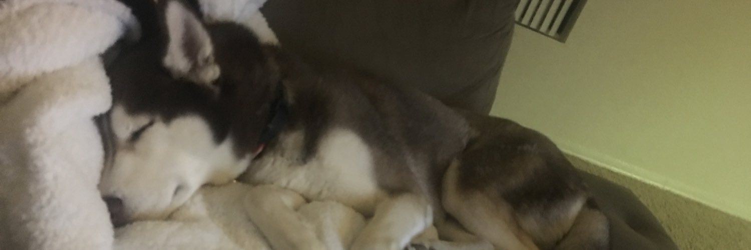wendalizzle's profile banner image