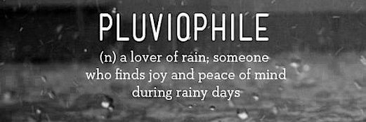 Shade Infinity banner