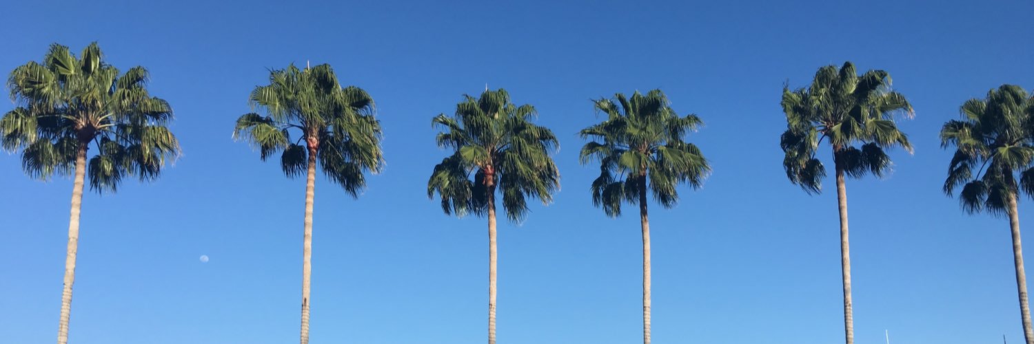 gabbbo8's profile banner image