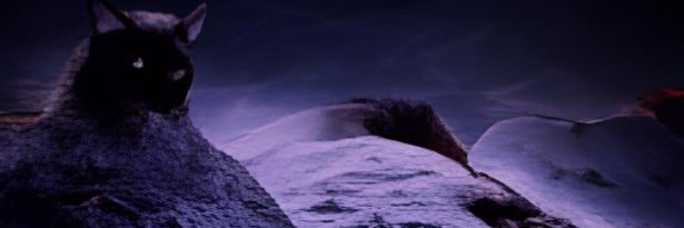 samson_igor's profile banner image