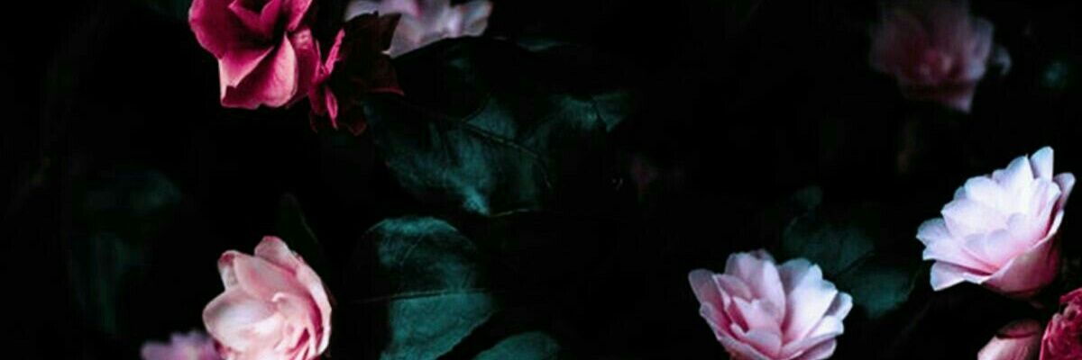 blankgrin's profile banner image