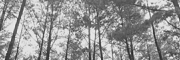 ahulios's profile banner image
