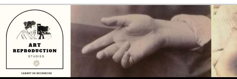 LaureBoyer_ArtReproductionStudies banner